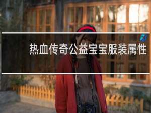 热血传奇公益宝宝服装属性