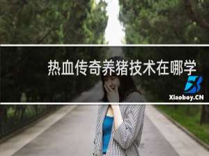热血传奇养猪技术在哪学