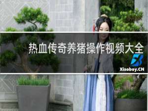 热血传奇养猪操作视频大全