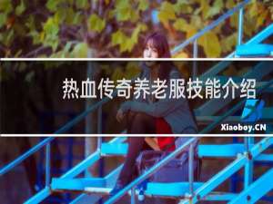 热血传奇养老服技能介绍