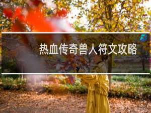 热血传奇兽人符文攻略