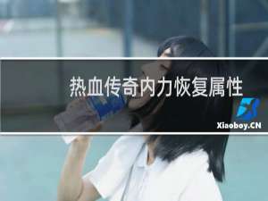 热血传奇内力恢复属性