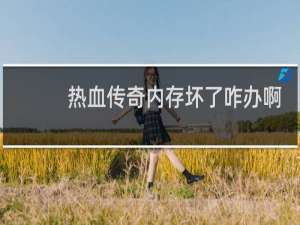 热血传奇内存坏了咋办啊