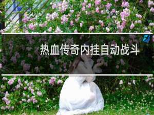 热血传奇内挂自动战斗