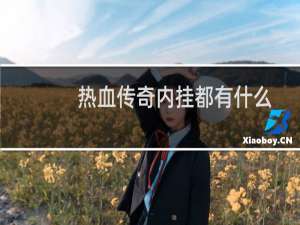 热血传奇内挂都有什么
