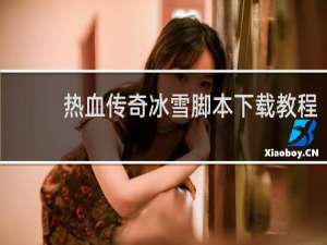 热血传奇冰雪脚本下载教程
