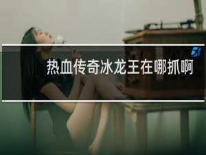 热血传奇冰龙王在哪抓啊