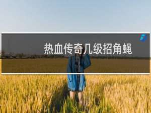 热血传奇几级招角蝇
