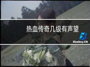 热血传奇几级有声望