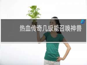 热血传奇几级能召唤神兽