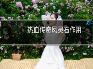 热血传奇凤灵石作用