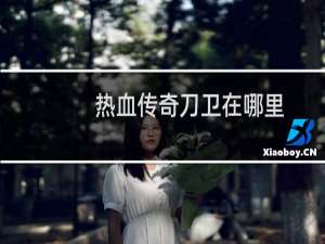热血传奇刀卫在哪里
