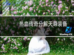 热血传奇分解天尊装备