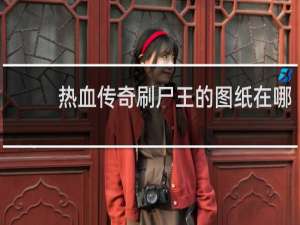 热血传奇刷尸王的图纸在哪