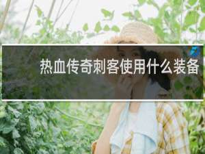 热血传奇刺客使用什么装备