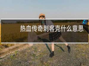 热血传奇刺客克什么意思
