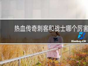热血传奇刺客和战士哪个厉害