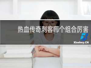 热血传奇刺客哪个组合厉害