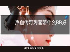 热血传奇刺客带什么BB好