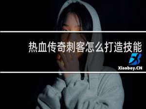 热血传奇刺客怎么打造技能