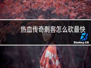 热血传奇刺客怎么砍最快