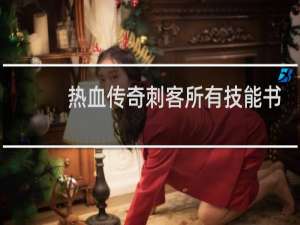 热血传奇刺客所有技能书