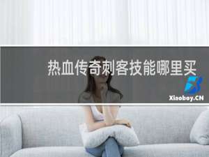 热血传奇刺客技能哪里买