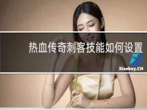 热血传奇刺客技能如何设置