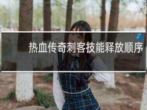 热血传奇刺客技能释放顺序