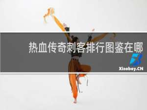热血传奇刺客排行图鉴在哪