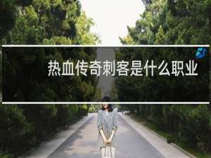 热血传奇刺客是什么职业