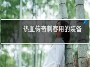 热血传奇刺客用的装备