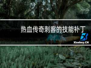 热血传奇刺客的技能补丁
