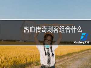 热血传奇刺客组合什么