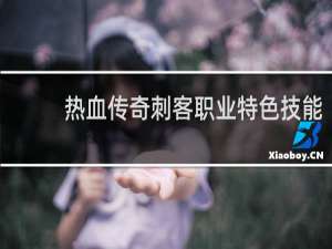 热血传奇刺客职业特色技能