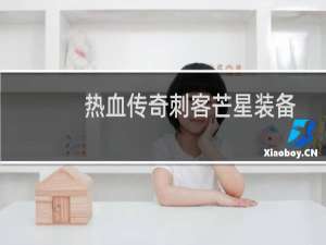 热血传奇刺客芒星装备