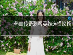 热血传奇刺客英雄选择攻略