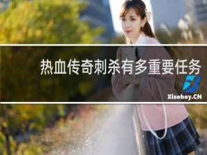 热血传奇刺杀有多重要任务