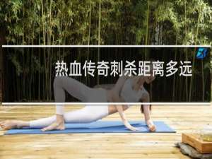 热血传奇刺杀距离多远