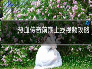 热血传奇前期上线视频攻略