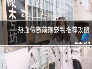 热血传奇前期宠物推荐攻略