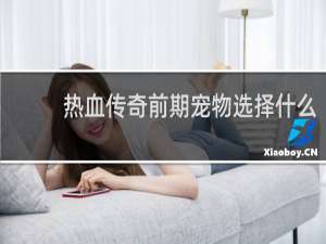 热血传奇前期宠物选择什么