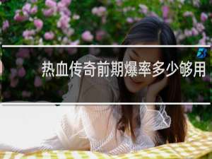 热血传奇前期爆率多少够用