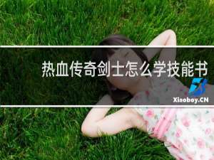 热血传奇剑士怎么学技能书