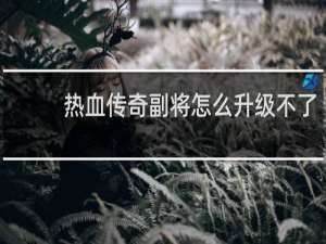热血传奇副将怎么升级不了