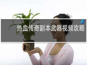 热血传奇副本武器视频攻略