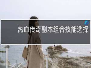 热血传奇副本组合技能选择