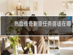 热血传奇剿匪任务匪徒在哪