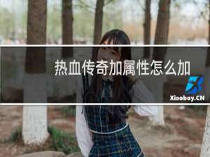 热血传奇加属性怎么加