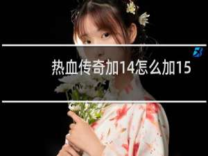 热血传奇加14怎么加15